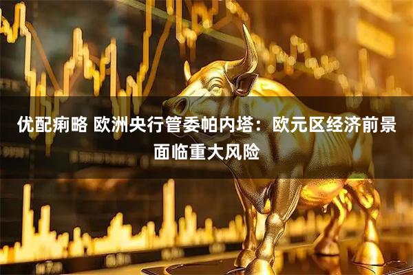 优配痢略 欧洲央行管委帕内塔：欧元区经济前景面临重大风险