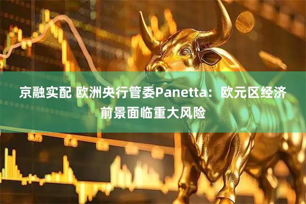 京融实配 欧洲央行管委Panetta：欧元区经济前景面临重大风险
