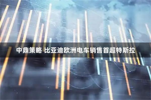中鼎策略 比亚迪欧洲电车销售首超特斯拉